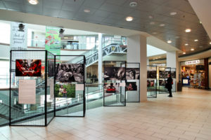 Ipercoop Meduna