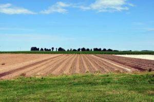 terreno agricolo